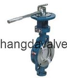 Manual Butterfly Valve