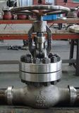 2500lb High Pressure Industrail Wcb Globe Valve