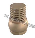 Brass Foot Valve with Strainer