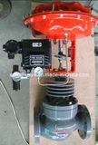 Globe Control Valve