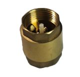 Brass Check Valve Bcv-002