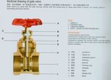 Gate Valve