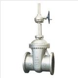 API Wedge Rising Stem Gate Valve