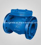 Cast Iron Flange 150lbs End Check Valve