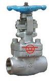 Forged Steel Globe Valve