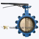 8 Inch Wcb C95400 Lever Operated Lug Butterfly Valve