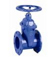 Blue Flanged Ductile Iron Gate Valve