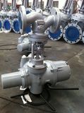 Automatic Control Electric Globe Valve