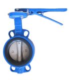 Centre Lined Wafer Butterfly Valve Manufacturer
