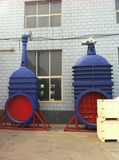 Big Diameter Gate Valve