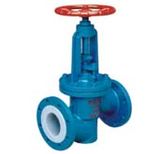 Fluorine Lined Globe Valve