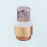 Check Valve with Stainless Steel Filter (GD2903)