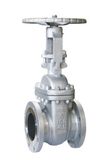 Stainless Steel Low Pressure Gate Valve