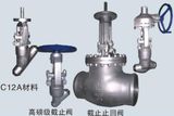 High Pressure Power Station Globe Valve