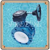 PTFE Lined Butterfly Valve