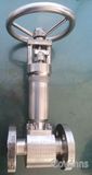 904L Bellow Sealed Globe Valve