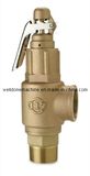 Bronze Safety Valve