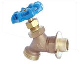 Globe Valve