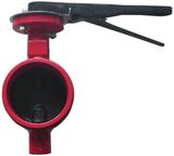 GrooveD End Butterfly Valve (IBXOO-GE)