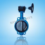 Worm Gear Wafer Butterfly Valve (Type: D371X)