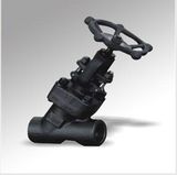 Forged Steel Cryogenic Globe Valve (DTV-J013)