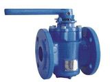 Eccentricity Plug Valve