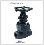 Forged Steel Globe Valve (J11H, J61Y)