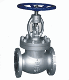 API Globe Valve