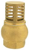 J5005 of Brass Foot Valve