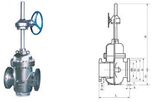 Class 150~900 Plate Gate Valve