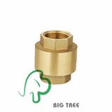 Spring Check Valve