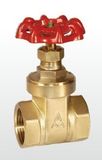 (A) 40 Years Valves Factory Brass Valve