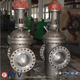 API6d Slab Gate Valve with Gear (Parallel type gate valves)