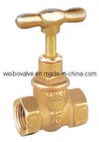 Globe Valve (WB-5013)