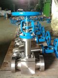 High Pressure Low Temperature Globe Valve