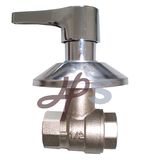 Brass PPR Ball Valve with Ornate Cap