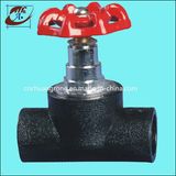 Socket Welded Fitting (stop valve)