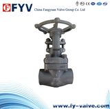 API 602 Forged Steel F304 Gate Valve