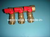 Brass Manifold