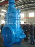 Metal Seat Flange Wedge Gate Valve (Z45T Type)