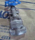 Thread Forged Gate Valve