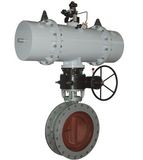 High Performance Butterfly Valve