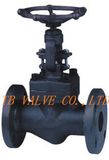 Forged Steel Flange Globe Valve (J41H)