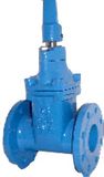 Cast Iron Gate Valve (BS5163)