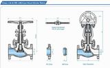 Cast Steel Globe Valve