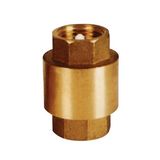 Brass Check Valve (JD-4010)