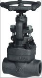 Forged Steel Threaded Globe Valve (J11H)