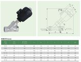 Pneumatic Angle Valve