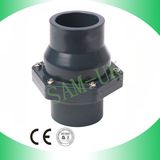 PVC Check Valve (E06)