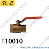 Brass Gate Valve (T10010)